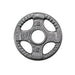 Body-Solid Cast Iron Olympic Plates