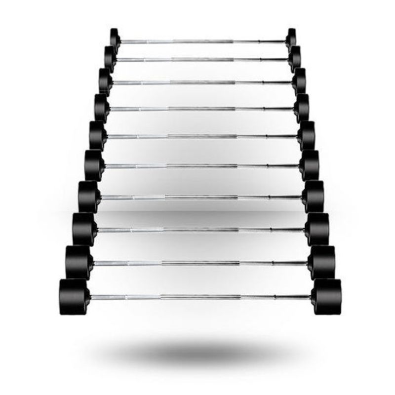 York (20-110 lb) Rubber-Coated Barbell Set