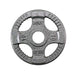 Body-Solid Cast Iron Olympic Plates