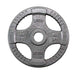 Body-Solid Cast Iron Olympic Plates