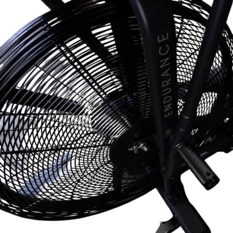 Body-Solid (#FB300B) Endurance Fan Exercise Bike