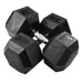 Body-Solid Rubber Hex Dumbbells