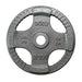 Body-Solid Cast Iron Olympic Plates