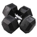 Body-Solid Rubber Hex Dumbbells