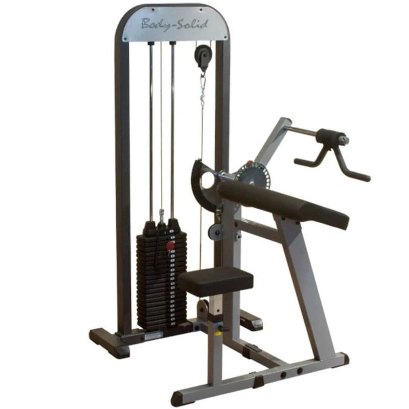 Body-Solid (#GCBT-STK) Pro Select Biceps And Triceps Machine in Silver