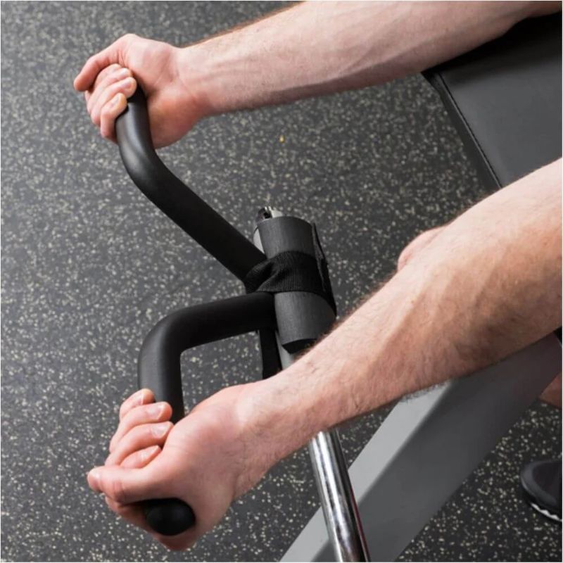 Body-Solid (#GCBT-STK) Pro Select Biceps And Triceps Machine in Silver