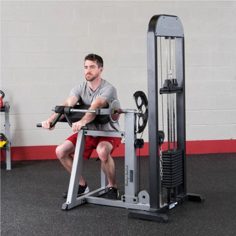 Body-Solid (#GCBT-STK) Pro Select Biceps And Triceps Machine in Silver