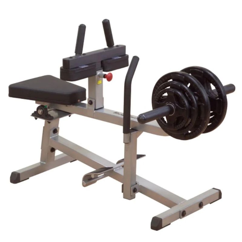 Body-Solid (#GSCR349) Seated Calf Raise in Silver