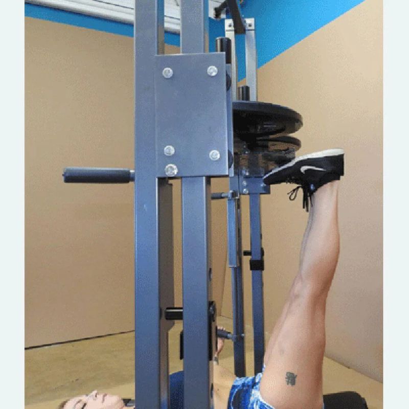 TDS Fitness (#C-92070-O) Premier Vertical Leg Press in Silver