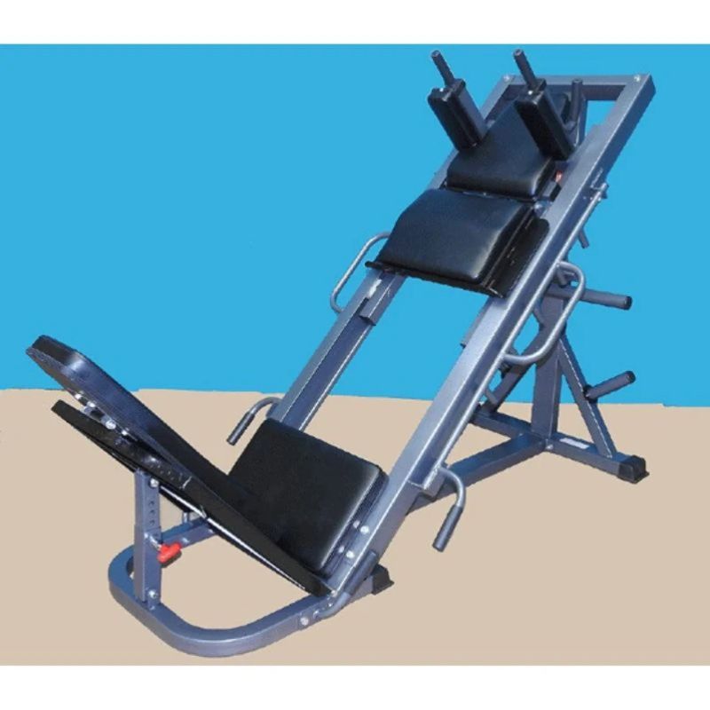TDS Fitness (#TDS-35755-G) Leg Press/ Hip Sled Hack Squat Machine in Silver
